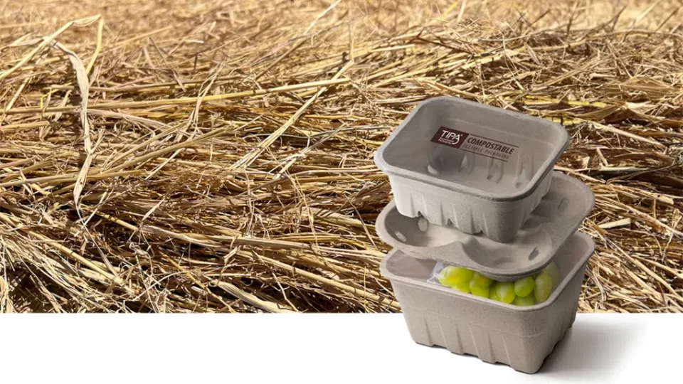 Paddy Straw Trays: How did the iconic food become packaging?