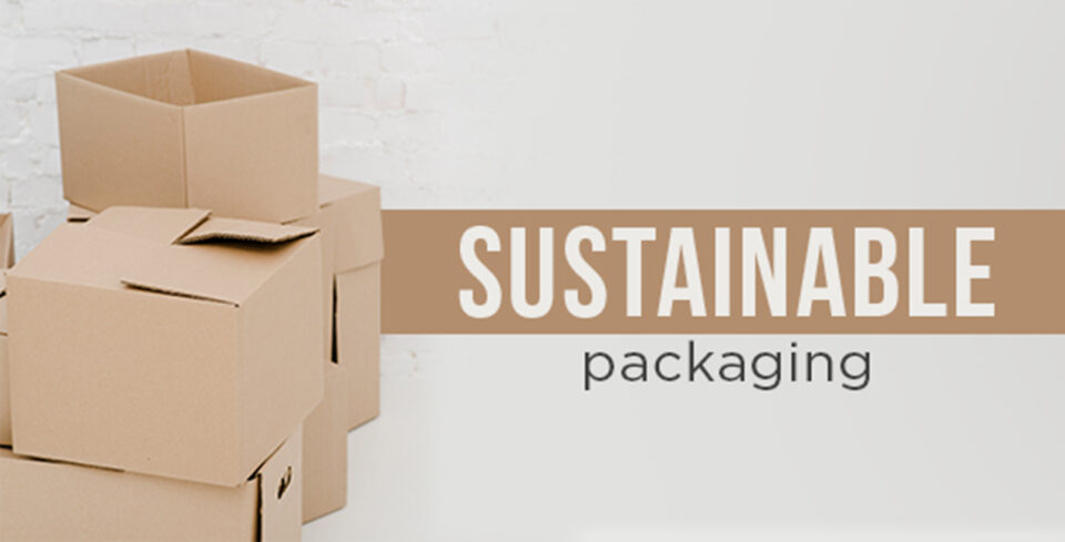 Sustainable packaging fuels growth and innovation in specialty papers