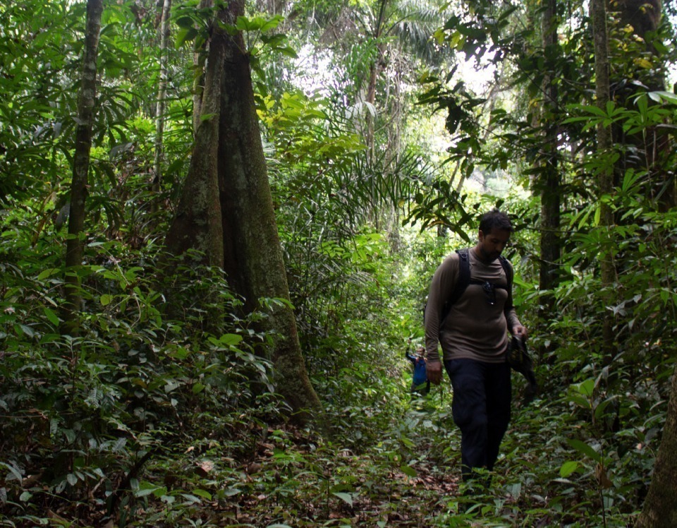 Suzano Pulp to acquire 70,000 hectares of land in Mato Grosso do Sul.