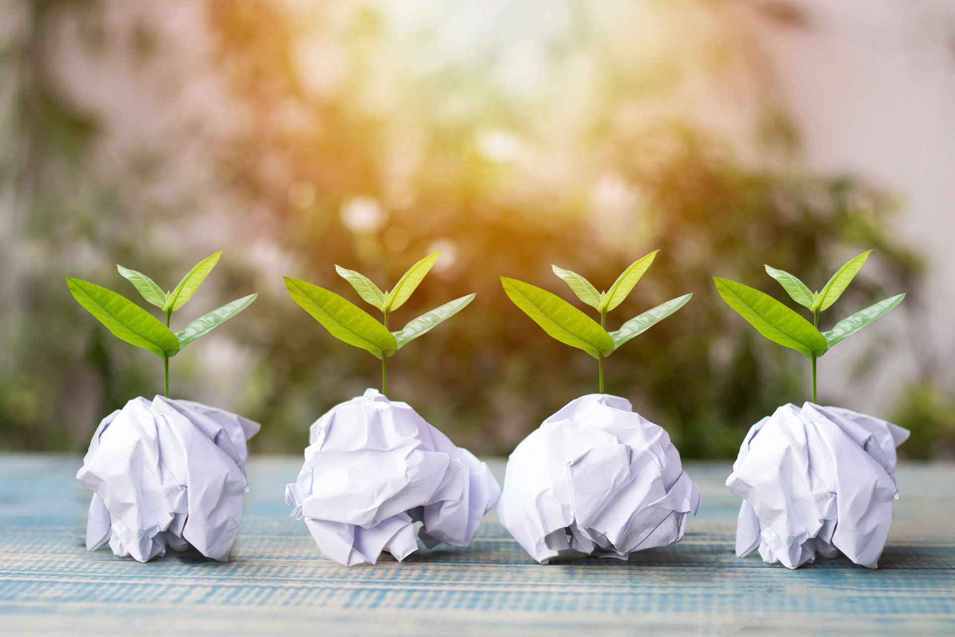 Paper: Growth with Sustainability