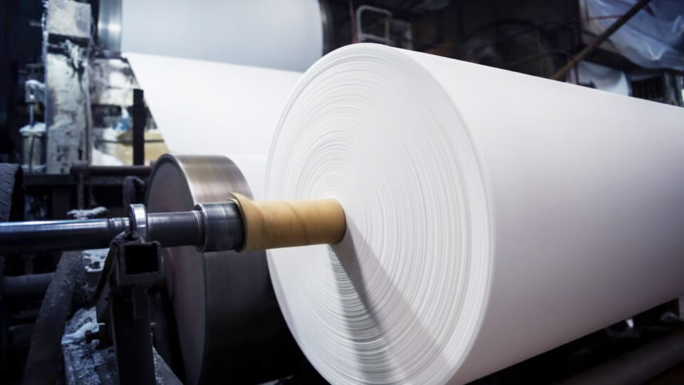 Paper industry body flags below-cost imports, demands level playing field