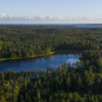 CDP recognises Metsä Board with a triple ‘A’ score for leadership on climate change, forests and water security