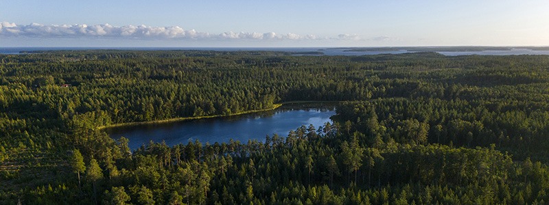 CDP recognises Metsä Board with a triple ‘A’ score for leadership on climate change, forests and water security