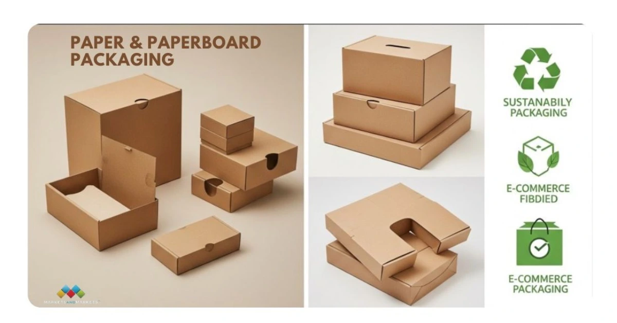 Eco-Forward Packaging: Paper & Paperboard Lead the Next Wave